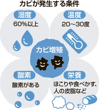 北海道でもカビに注意　高気密住宅に潜むわな　小まめな換気と掃除で防ぐ