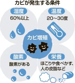 北海道でもカビに注意　高気密住宅に潜むわな　小まめな換気と掃除で防ぐ