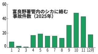 富良野地方のシカ事故5割増 25年232件 繁殖期の秋に多数 減速運転呼びかけ