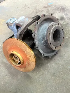 <わくわく おたる水族館>水の管理 異変に五感研ぎ澄ます