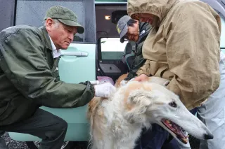 狂犬病の予防接種、担当は斜里教育長と副町長 「獣医師の資格生かせた」