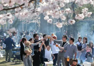 札幌・円山公園、花見ジンギス禁止に賛成６割　「したことある」も６割なのになぜ？＜みなぶんアンケート＞