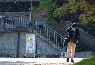 猛暑が影響？雪虫大量発生　小樽、札幌　住民、対応に苦慮