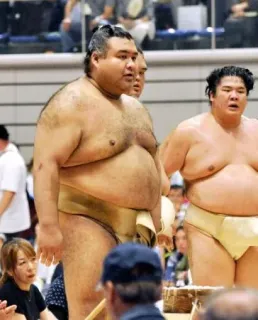 高安、夏巡業で左脚痛める 秋場所までに「どうにかしたい」