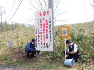 山菜採り　同行者見失わないで　後志で遭難騒ぎ多発、関係機関呼びかけ