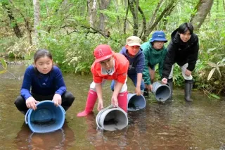 累計134万匹 ヤマメ稚魚放流、広尾のクラブ 渓流釣りの資源に