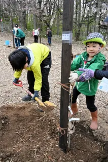 かつてはサクラ5千本、最盛期の姿復活へ　小樽の公園で住民有志が植樹