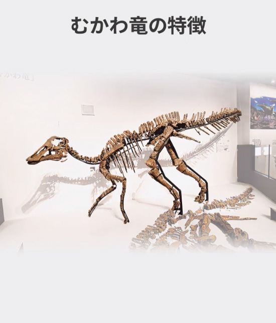 23861560518_2