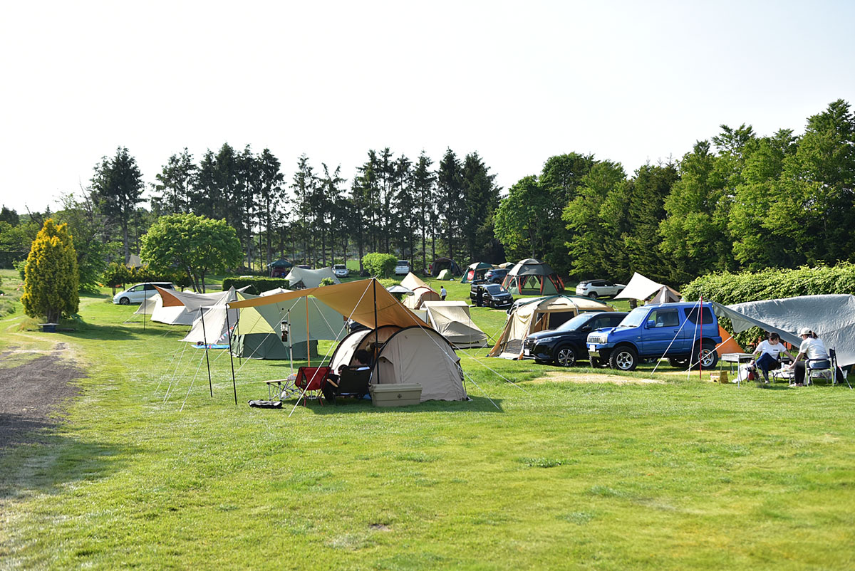 メイプルキャンプ場・RV パークのキャンプ場情報：あさってキャンプ