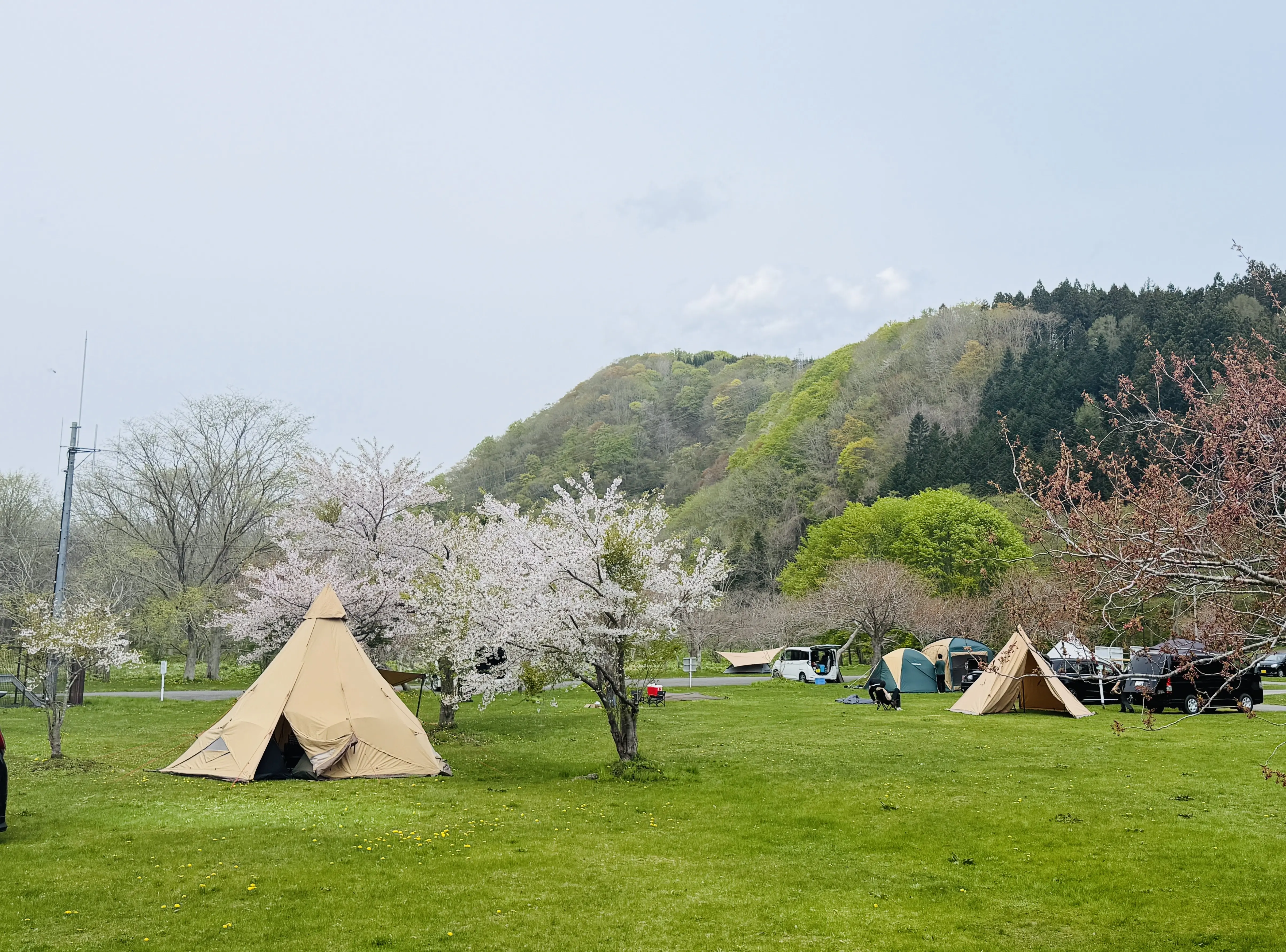 湯の沢 水辺 公園