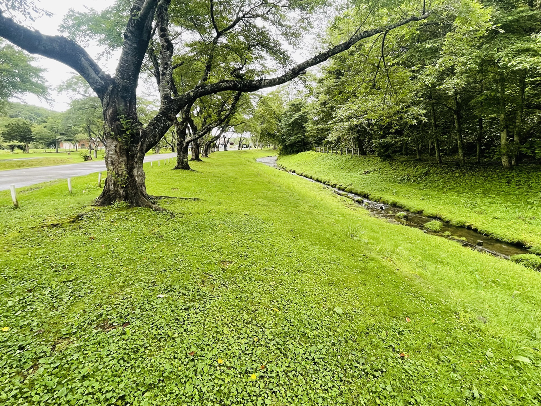 長万部公園キャンプ場 セール ペット