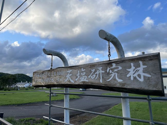 ヒグマ　標本用 九大博物館 | クマ（ヒグマ？） Ursus | その他の動物 | 旧