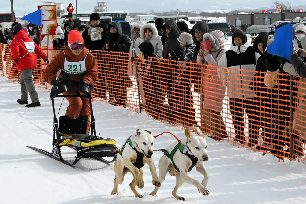写真10枚】愛犬と一緒にダッシュ！ 稚内犬ぞり大会 2月史上最高の9.8度