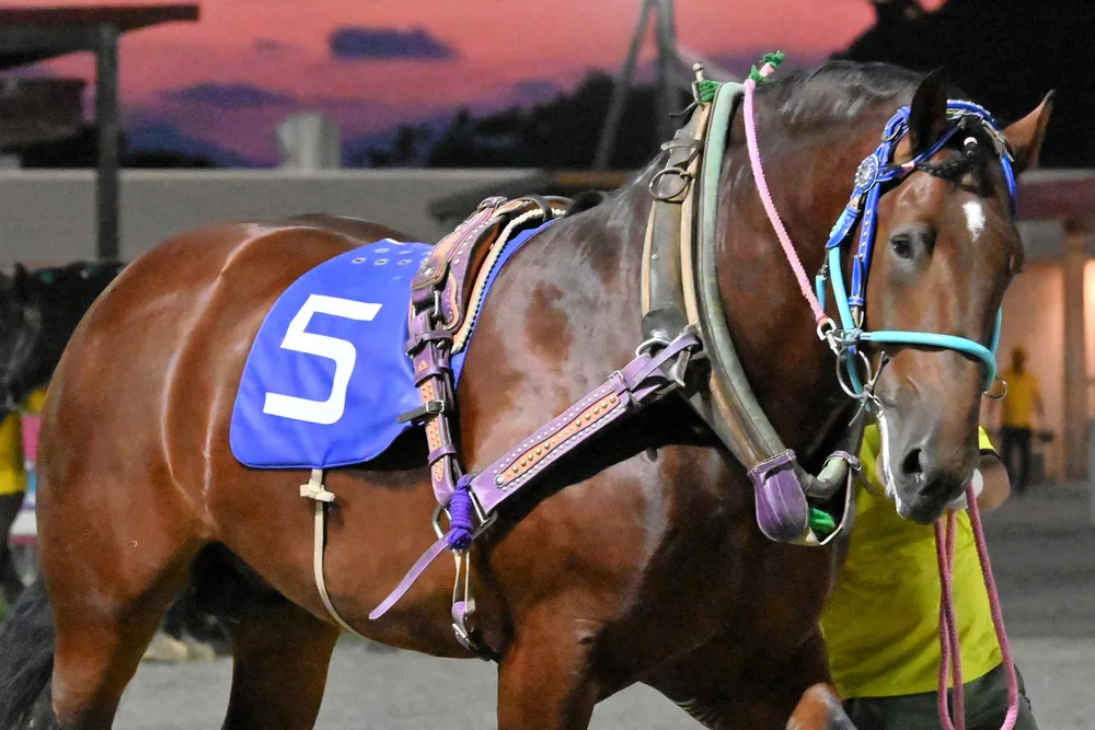 12月21日のレース紹介　ノエル特別＜ばんえい競馬＞