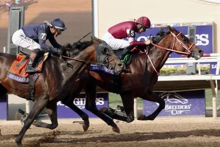 フォーエバーヤングが代表馬受賞 25年度JRA賞：北海道新聞デジタル