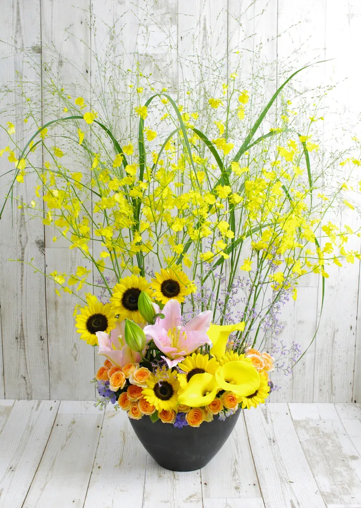 ＜ドクトル薄木の人生花あり＞必要不可欠なもの【最終回】