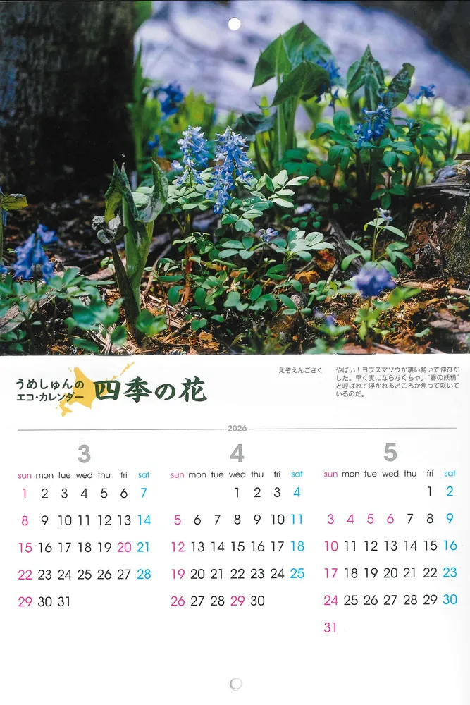 植物写真家・梅沢俊さんのカレンダーを２０人に