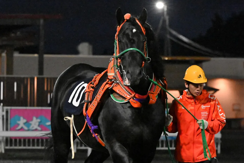 25日のレース紹介　サマーカップ＜ばんえい競馬＞