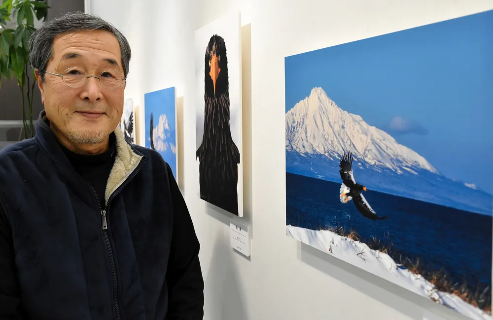 迫力のオオワシ…捉えた一瞬 稚内で12月1日から斉藤さん写真展：北海道
