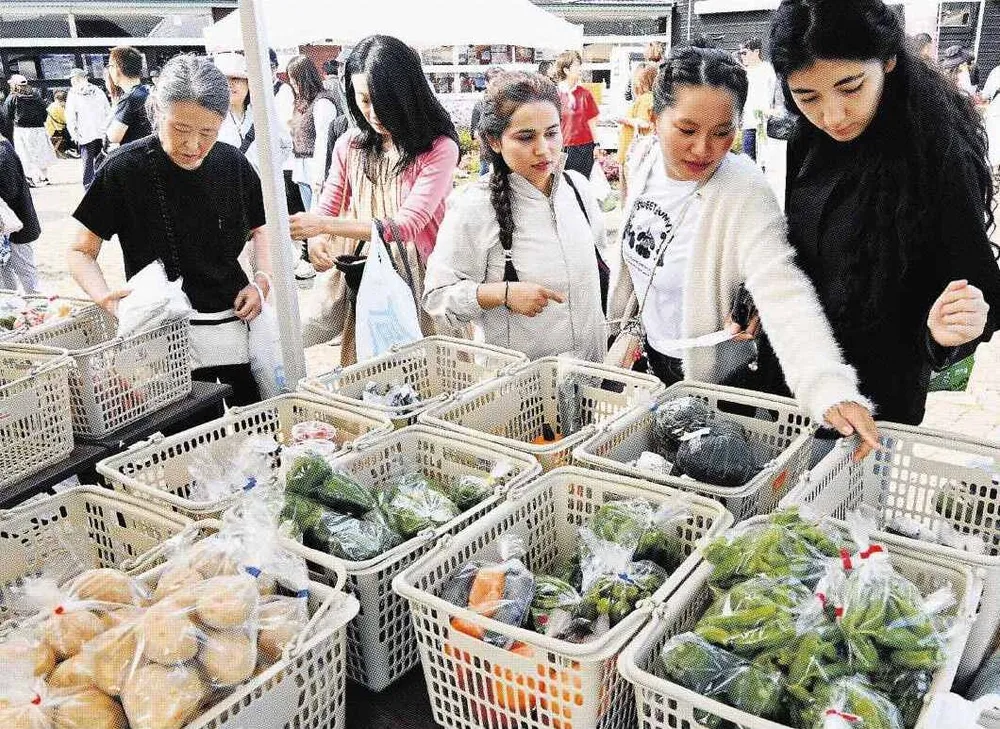 収穫の秋 いっぱい詰めて 新鮮な野菜 抽選に列 ニセコ：北海道新聞デジタル