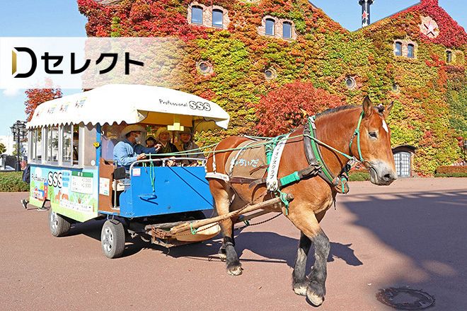 1a813870d3a79f64976cc9e04e2929