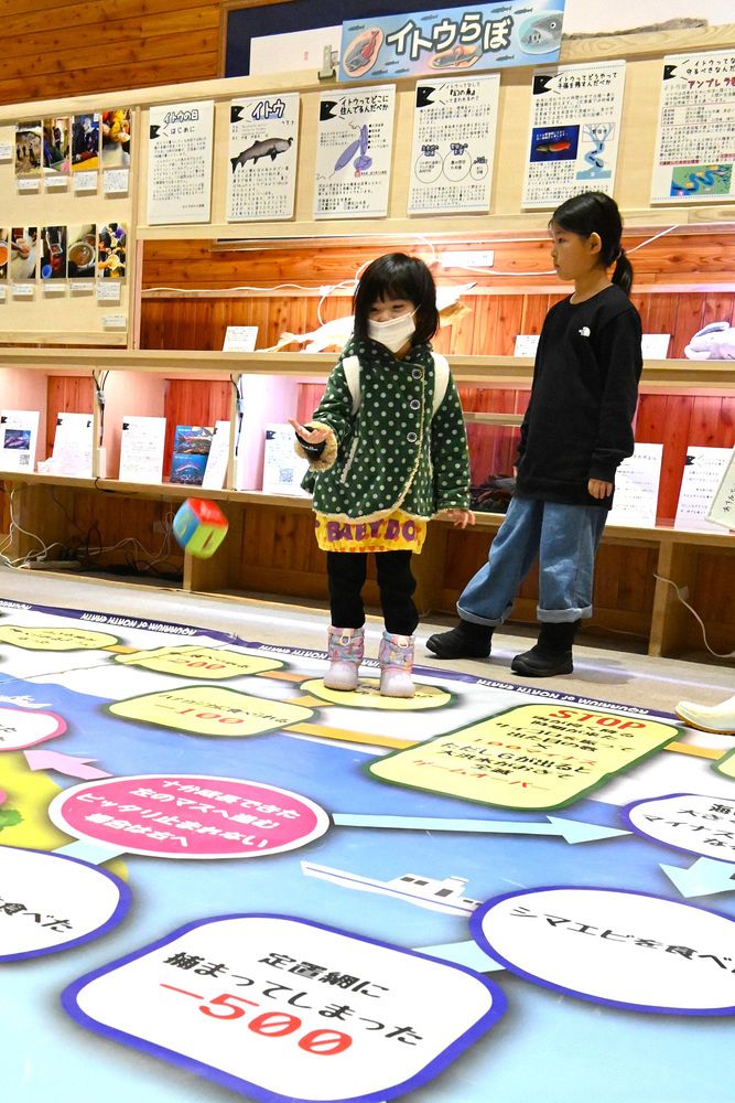 イトウの一生 大型すごろくで学ぼう 北見「北の大地の水族館」：北海道新聞デジタル