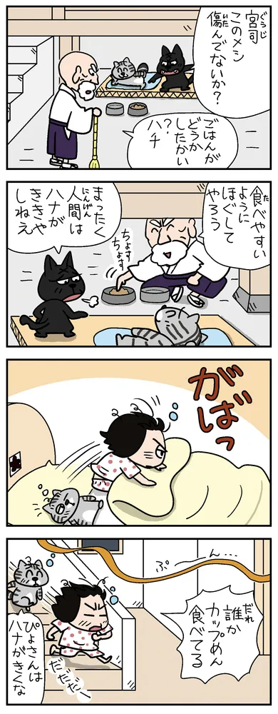 ねえ、ぴよちゃん ねえ、ぴよちゃん（3265）：北海道新聞デジタル