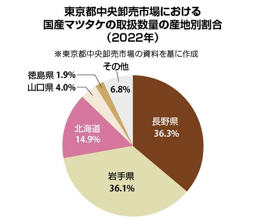 北海道（道南産）松茸191g 北海道産松茸 国産松茸 3