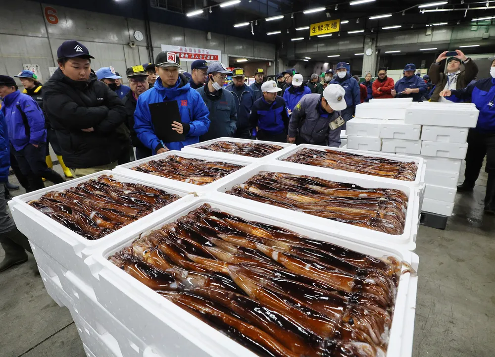 スルメイカ漁獲可能量、北海道は6600トン　26年漁期方針決定　全国は6.8万トン