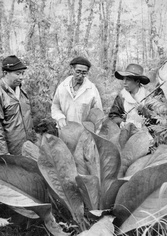 私のなかの歴史 釧路国際ウェットランドセンター技術委員長・新庄久志