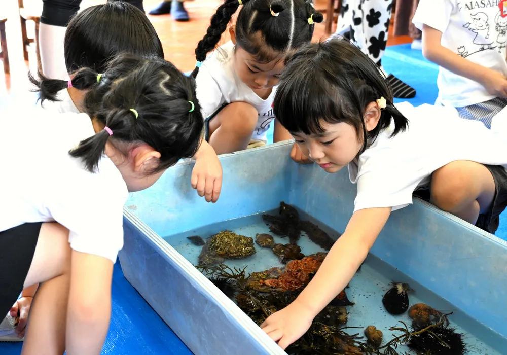 海の生き物にタッチ！ 遺愛旭岡幼稚園でサマーフェス＆英語deアート展