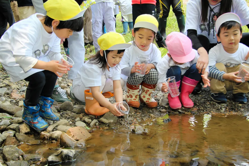 ヤマメの稚魚をペンケウタシュナイ川に放流する子どもたち（佐藤通信員撮影）