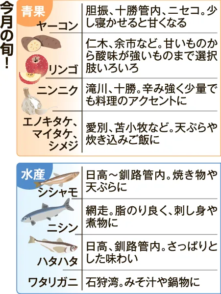 ヤーコン、寝かせて甘く/ニシンは刺し身、マリネに