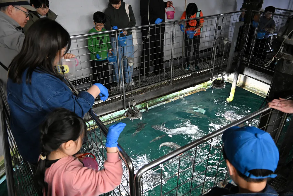 飼育員の仕事体験 千歳水族館でイベント：北海道新聞デジタル