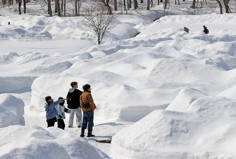 雪の巨大迷路、ゴールを探せ 旭川・牧場でもよおし 家族連れにぎわう
