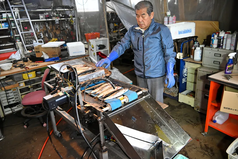 ニシン雌雄をAIで選別 標津の篠田興業が開発 「漁業者の負担軽減に