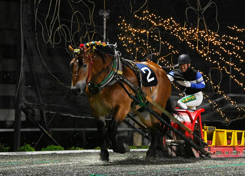 タカラキングダムが4歳三冠2勝目＜ばんえい競馬＞：北海道新聞デジタル