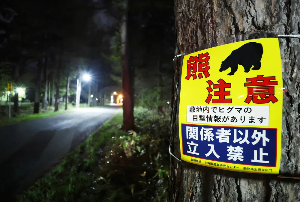 札幌・清田区の住宅街近くでクマ　農業センターのカメラに1頭写る　羊ケ丘展望台から1.5キロ
