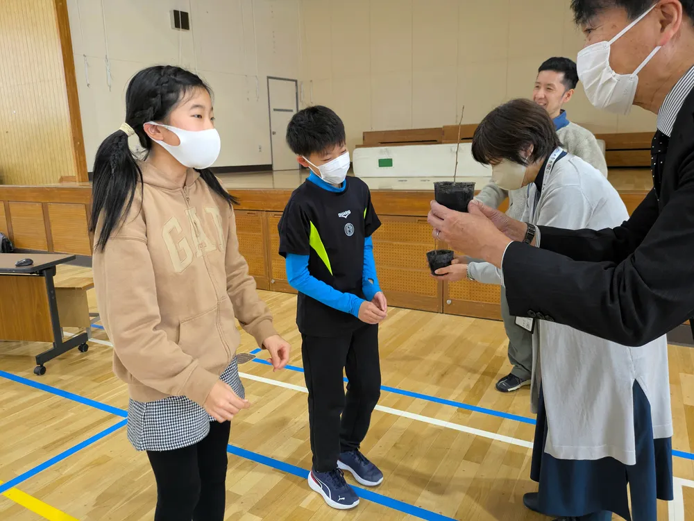 絆のサクラ「ボールパークでも満開に」 北広島・山の手南小児童