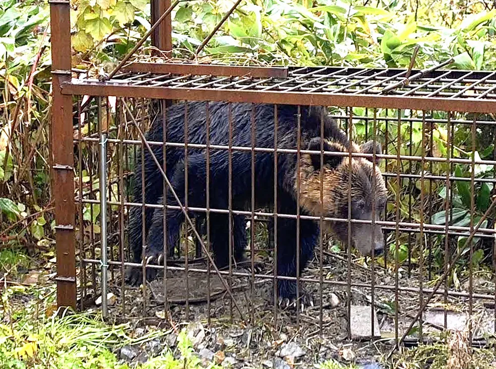 地域とともに進化する狩猟文化の今