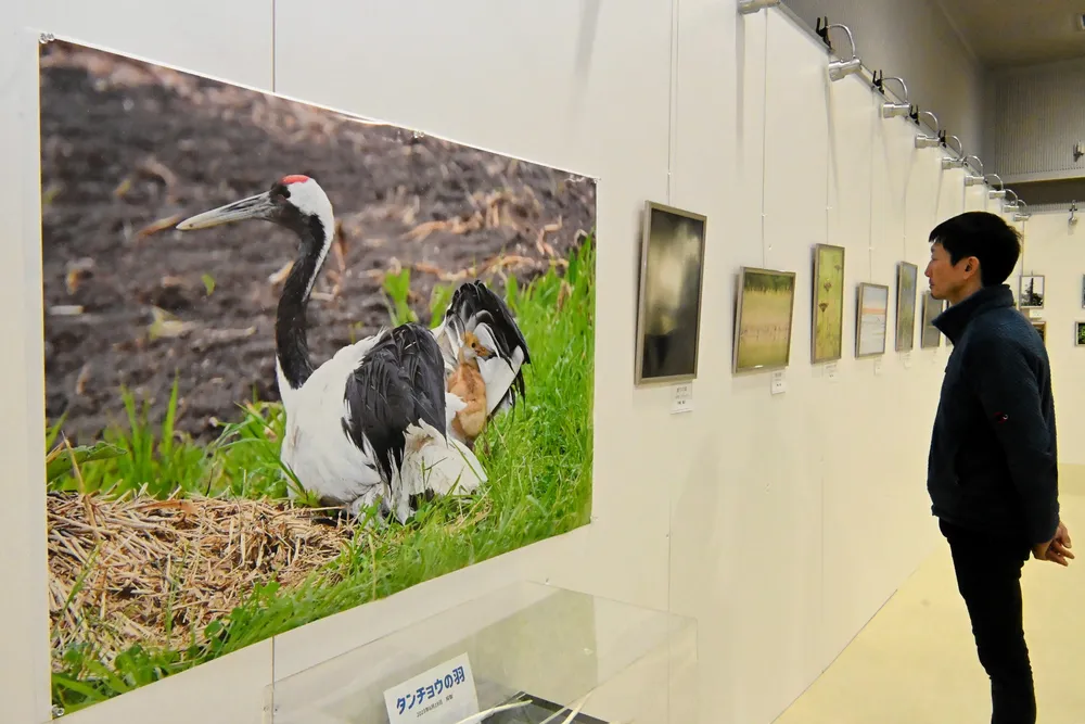 北海道紋別市の風景 A4写真プリント ガラス入り額装 ～モニュメントと虹～ 鳥や植物の楽園 コムケ湖の移ろい切り取る 紋別で写真展：北海道新聞