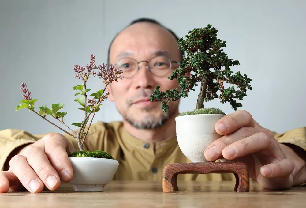 ＜おうち時間の楽しみ帖＞⑥ミニ盆栽　時間かけ成長楽しむ
