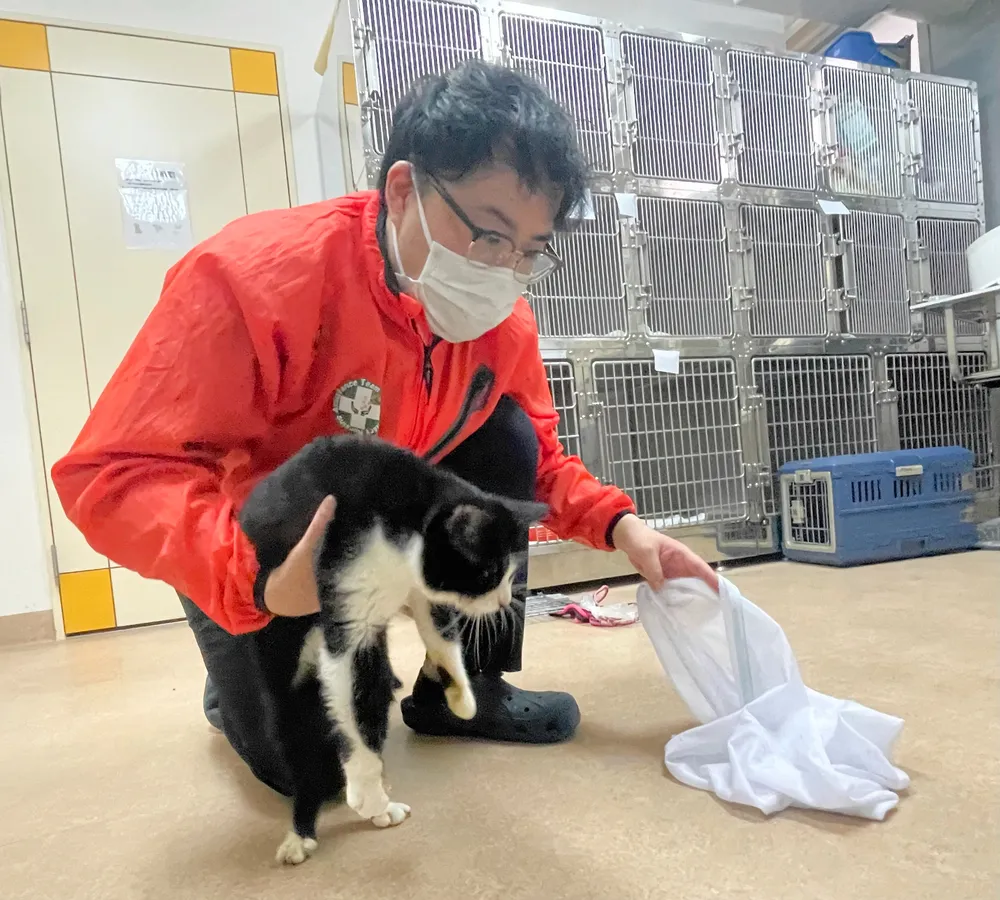 北海道 人気 ペット 避難