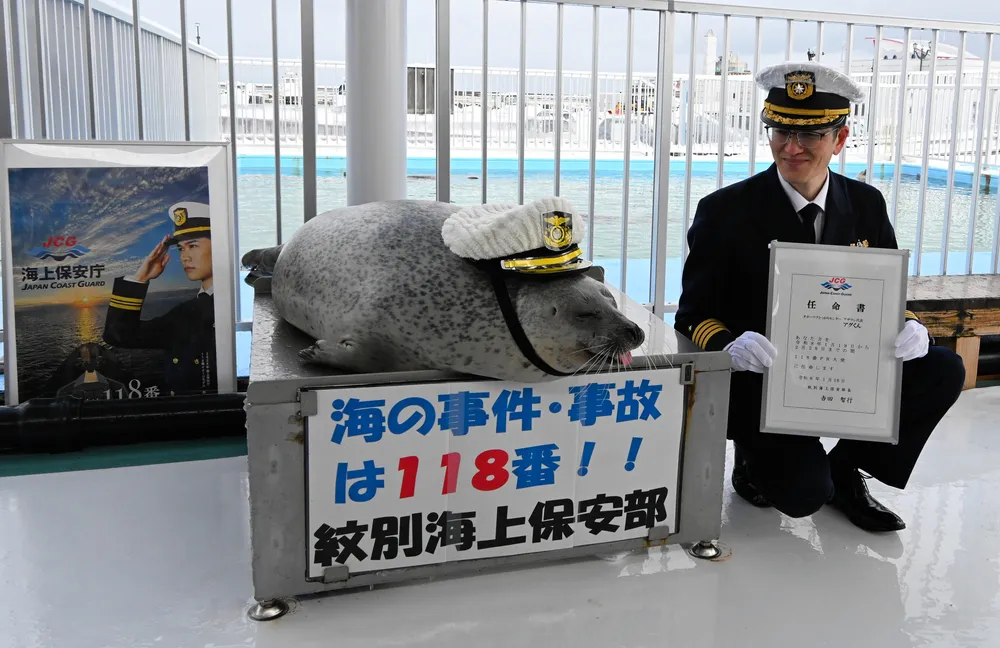 アザラシが海の118番PR大使に 紋別海上保安部がゴマフの「アグ」くん