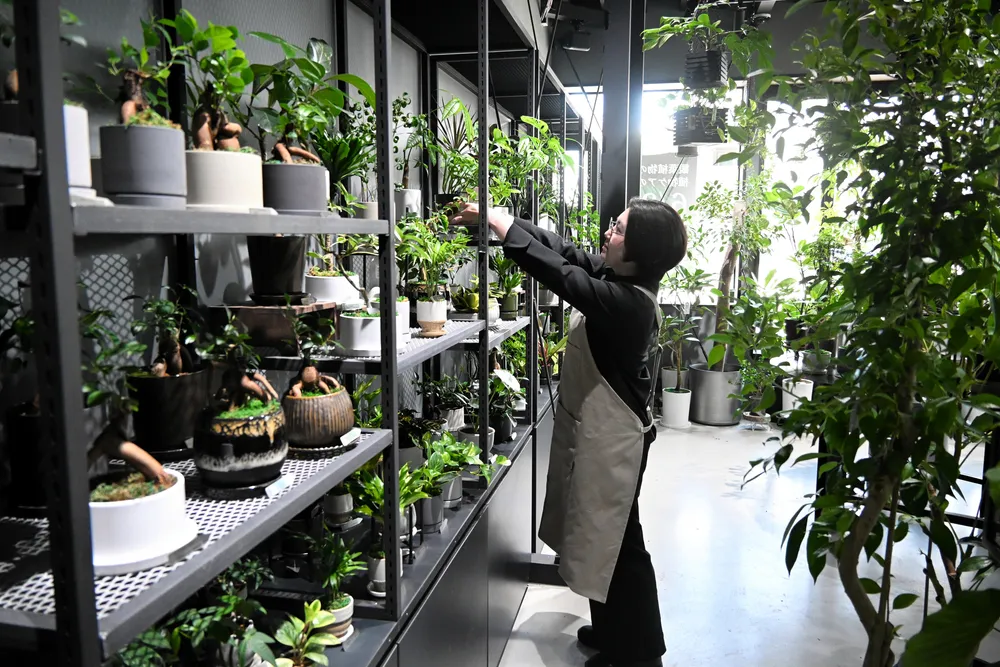 観葉植物ケアの専門店 あいプラングループが札幌・南区に27日オープン