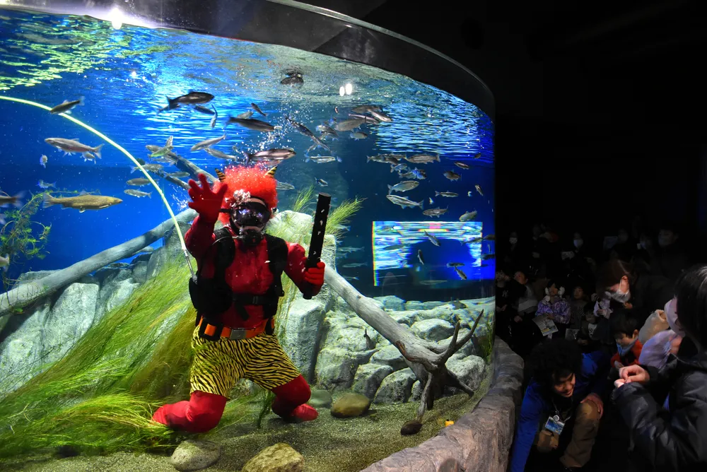 鬼は水槽に！ 千歳・サケのふるさと水族館で節分イベント：北海道新聞