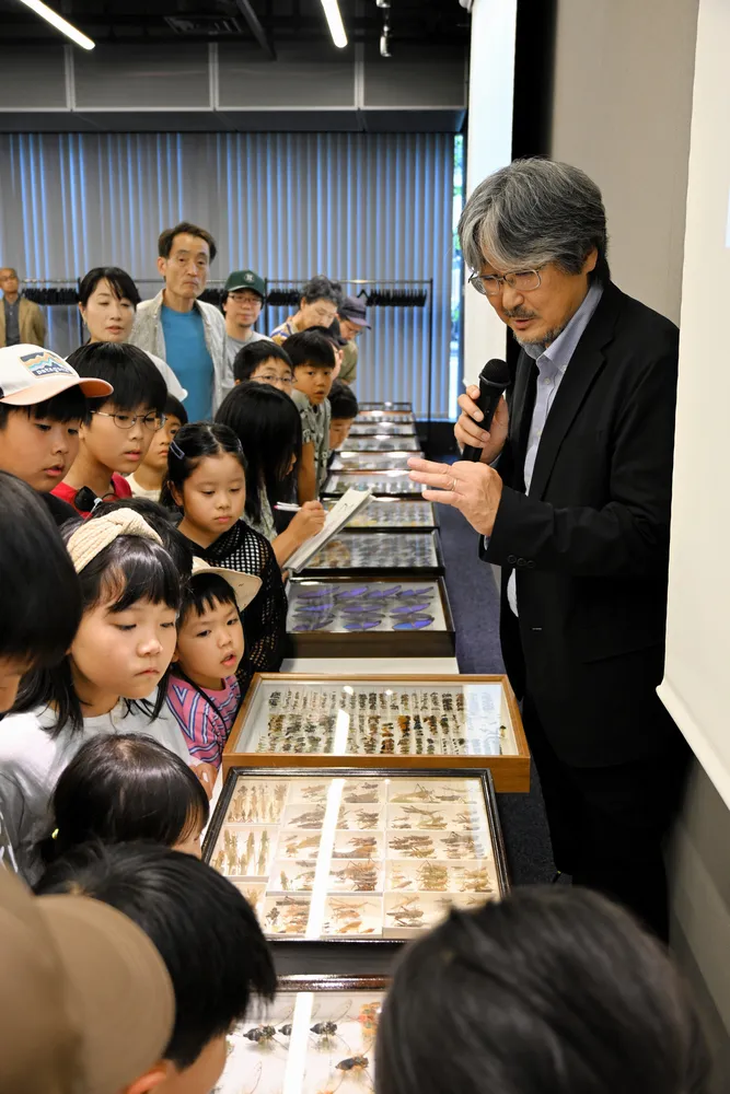 昆虫標本に子ども夢中　札幌でフォーラム　大原北大特任教授が講演