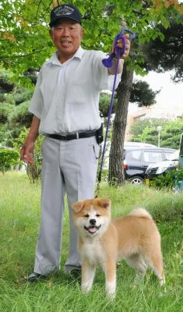 独自】プーチン大統領の秋田犬死ぬ 県が贈呈の「ゆめ」、昨年高齢で