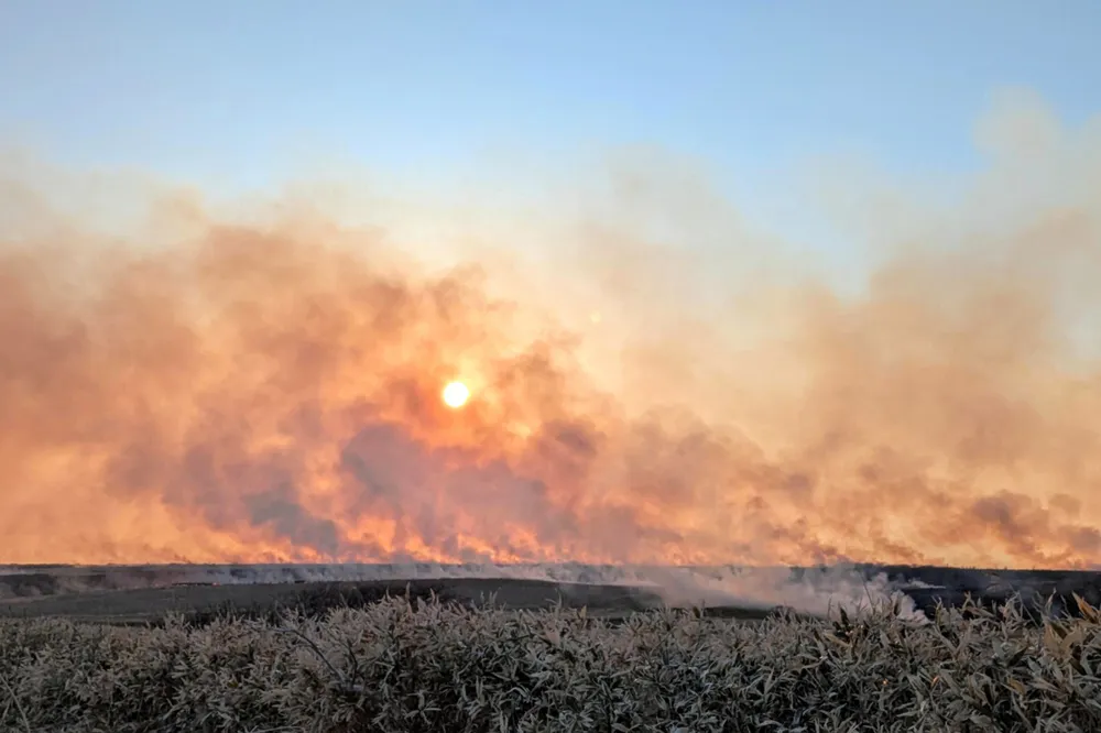 根室で大規模野火、延焼止まらず　けが人なし　167世帯に避難指示