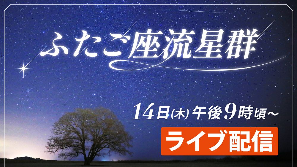 ふたご座流星群 ライブ配信（終了）：北海道新聞デジタル